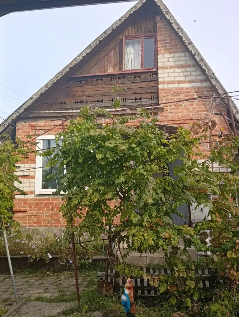 Зображення Продаж будинку, площею - 60 кв.м., район - Полтавський р-н